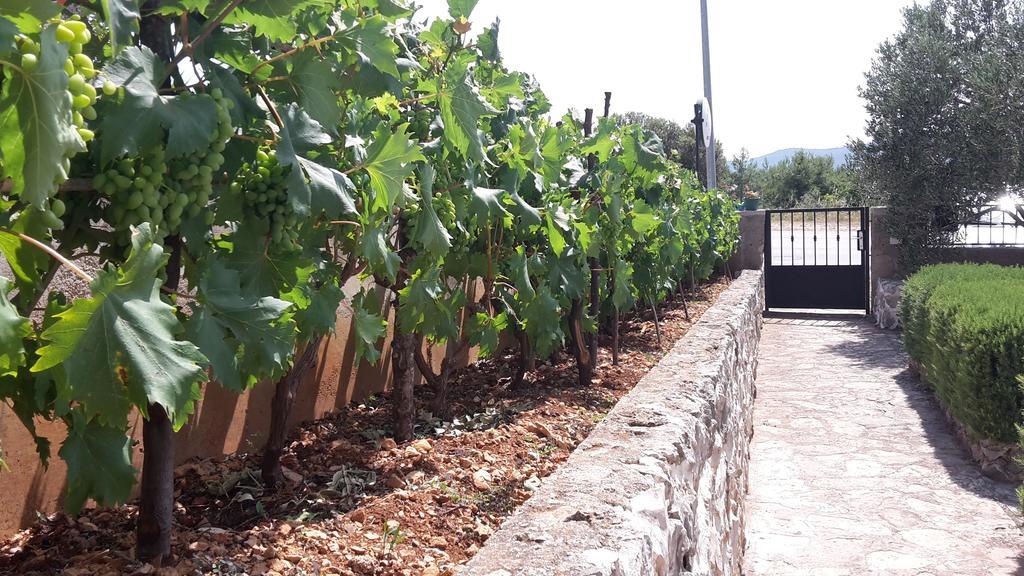 Amadrian Apartments Šibenik Buitenkant foto
