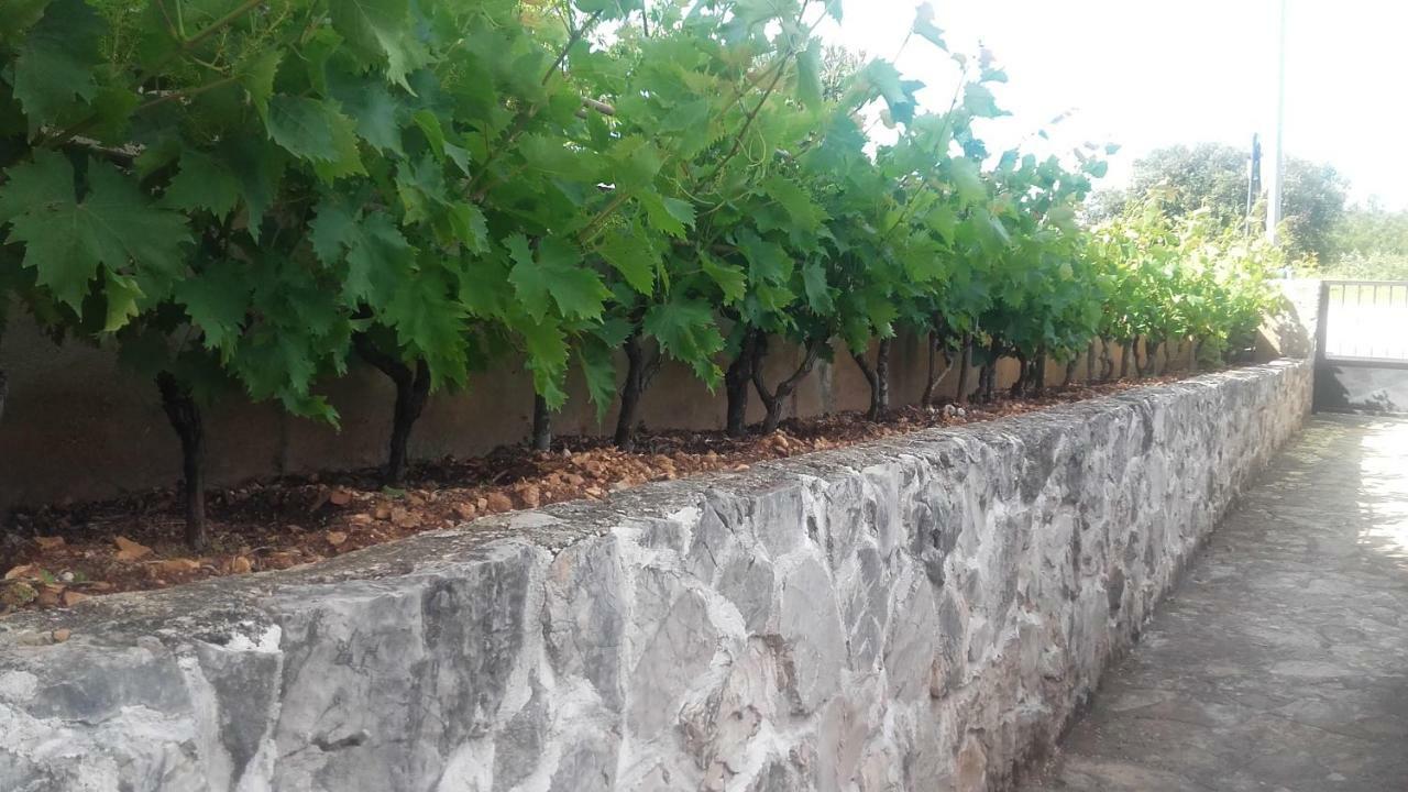 Amadrian Apartments Šibenik Buitenkant foto